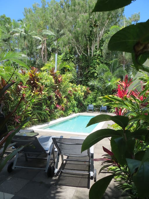 Pool in tropical rainforest setting
