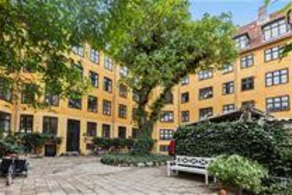 Picture of the garden