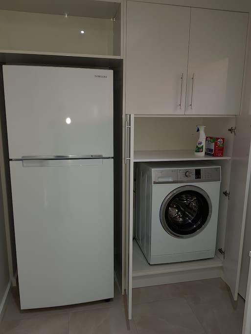 Washing Machine and Fridge