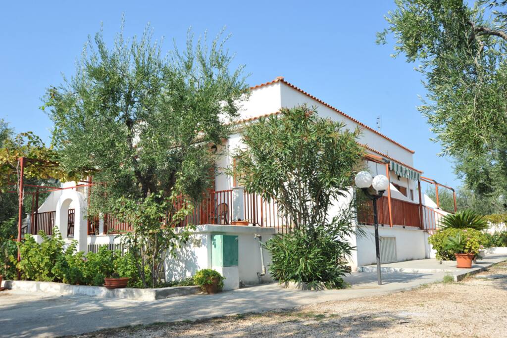 Esterno