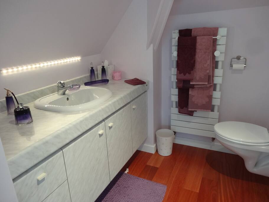 Salle de douche avec WC