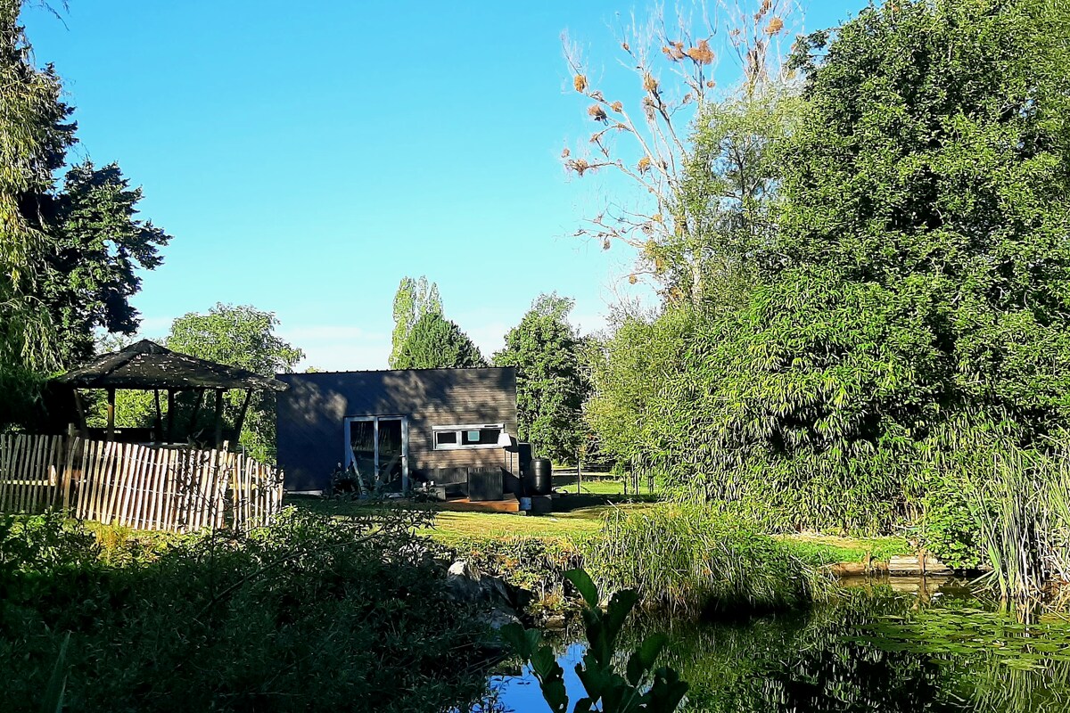 A modern tiny house is visible beside a serene pond, framed by lush greenery. A covered patio provides a shaded area. The surrounding landscape features trees and various plants, contributing to a peaceful outdoor environment under a clear blue sky.