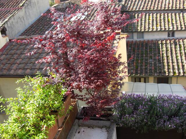 Modern Loft with Fantastic View gallery image 2