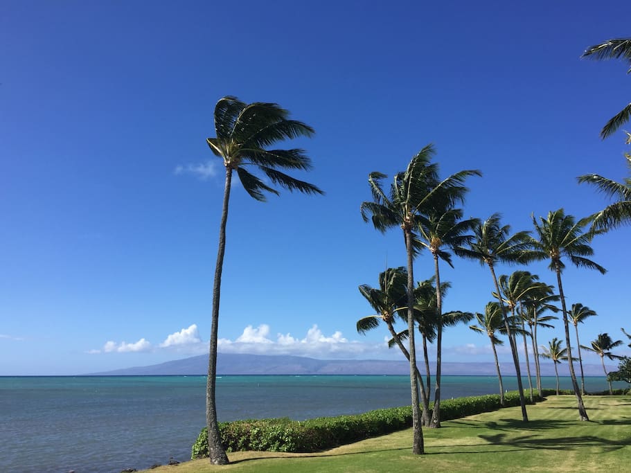 Ocean breezes and unforgettable views