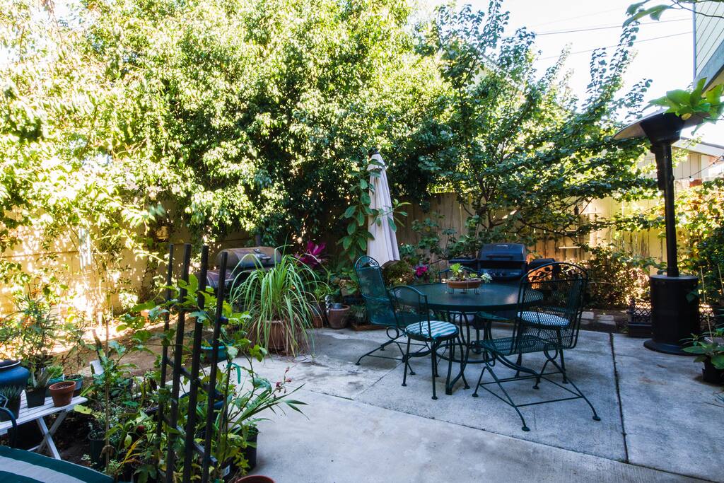 We have three fruit trees in our yard- two plums and one apricot! Guests are welcome to pick fruit when it's available in the early summer.
