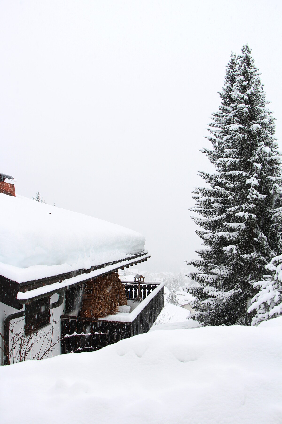 A snow-covered rooftop is visible, with thick layers of snow resting on the eaves. A tall evergreen tree stands beside the house, both blending into the winter landscape. The scene captures a serene, wintry atmosphere, with soft tones of white and gray dominating the view.
