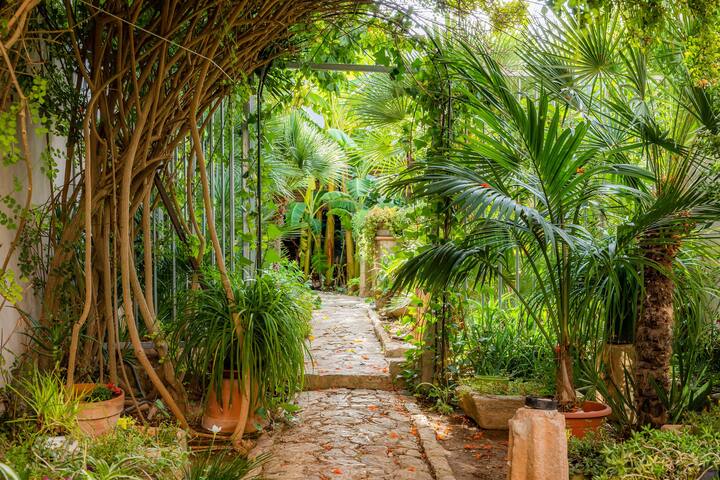 Bon Son Fiol gallery image 4