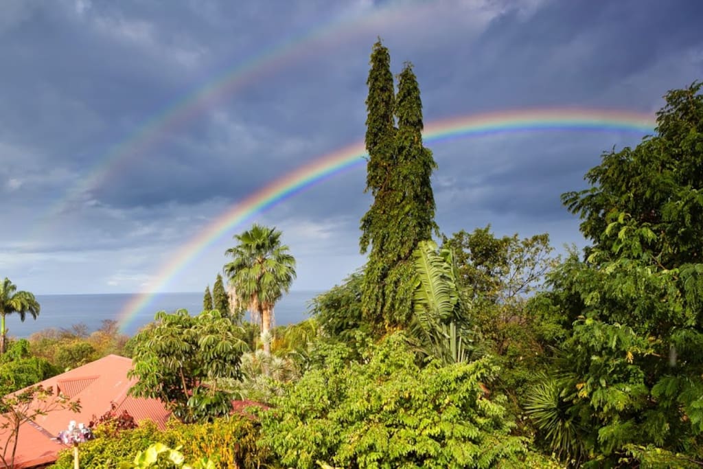 Depuis la terrasse, vue sur notre jardin et la Mer des Caraïbes.