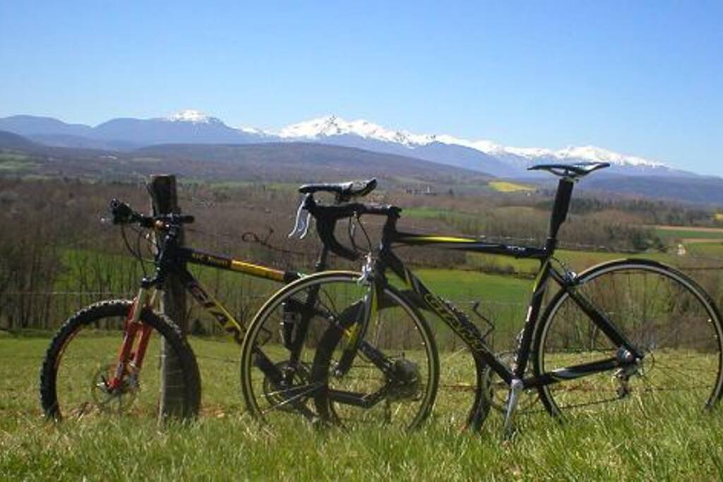 Cycling's our business come and enjoy