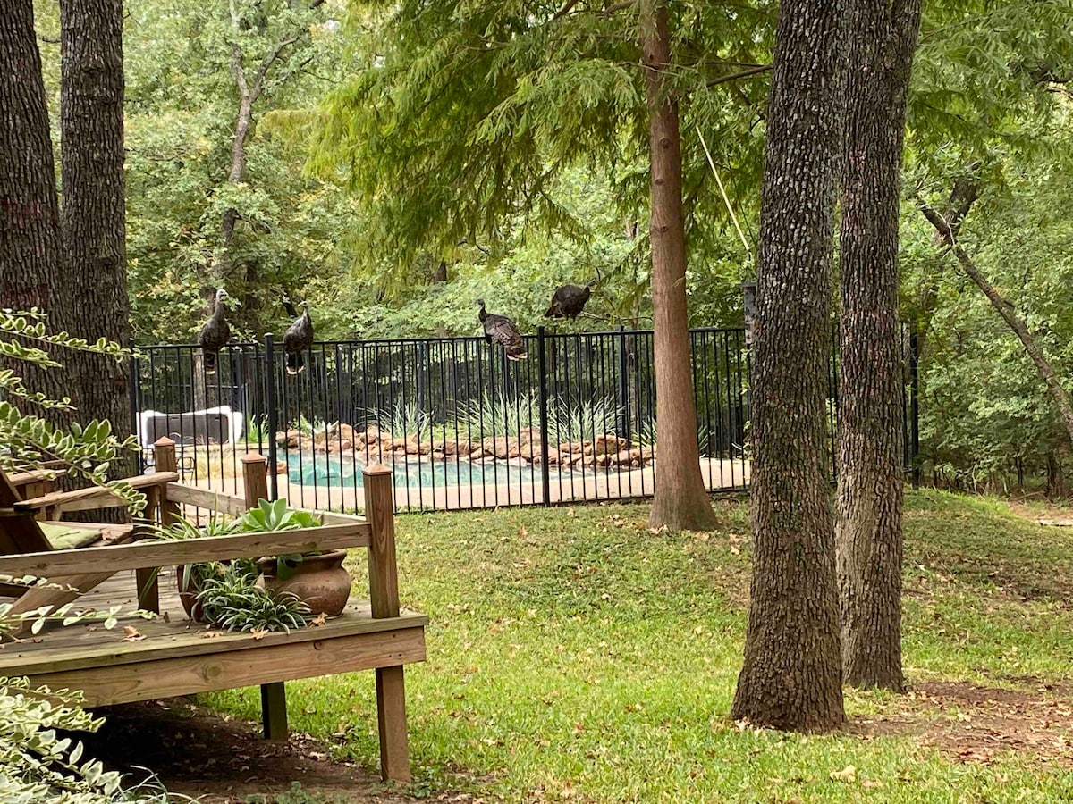 A serene outdoor view reveals a wooden deck leading to a fenced pool area, surrounded by lush greenery. Mature trees provide shade, while a small table and potted plants enhance the tranquil setting. The pool can be glimpsed through the iron fence, framed by natural foliage.