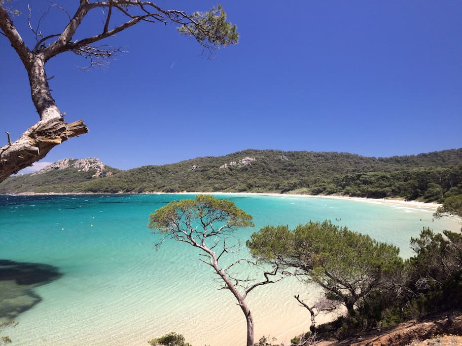 Plage de Notre Dame à Porquerolles