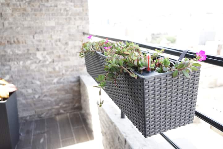 Terrasse - Chambre 5