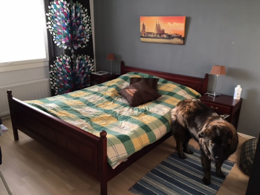 Master bedroom. Bed for two. The four legged not included :)