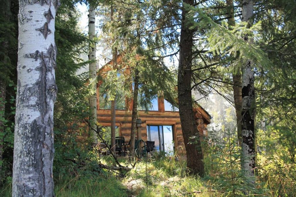 west facing exterior, sliding glass door and deck