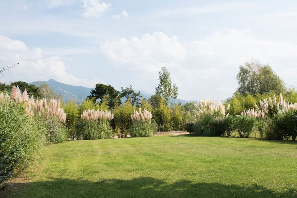 splendido giardino con vista sulle Apuane