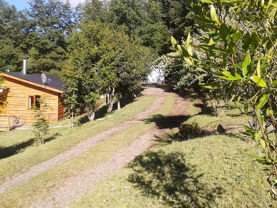 Campo a 4 kms. de Lican Ray, tranquilidad total, entorno muy bello.