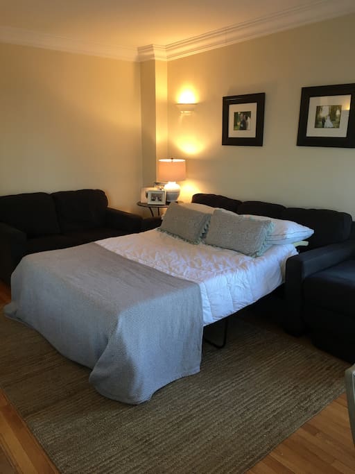 Sleeper couch set up in the lounge