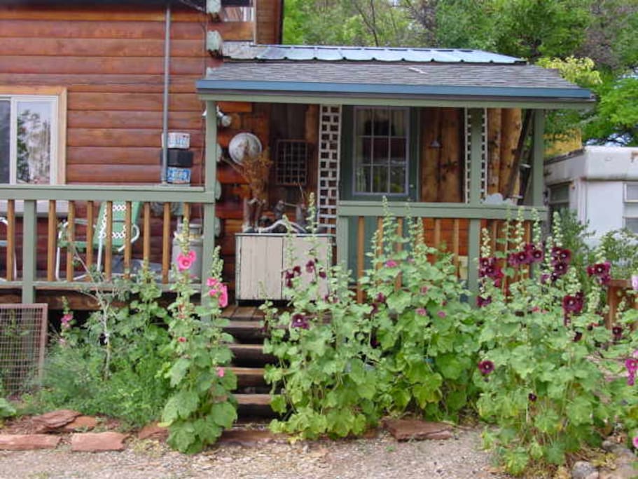 Hollyhocks next to Back Porch.