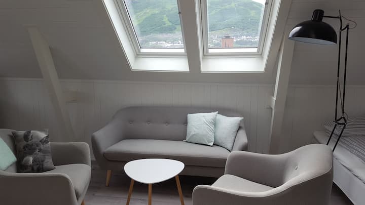 Tower Road 15 Loft Apartment