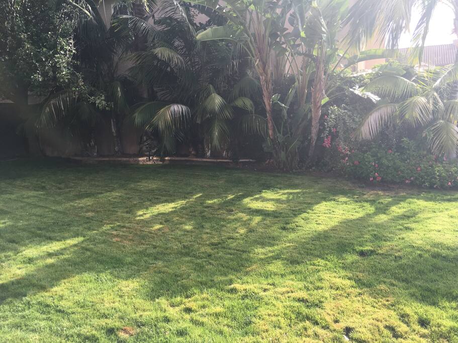 Large lawn for games