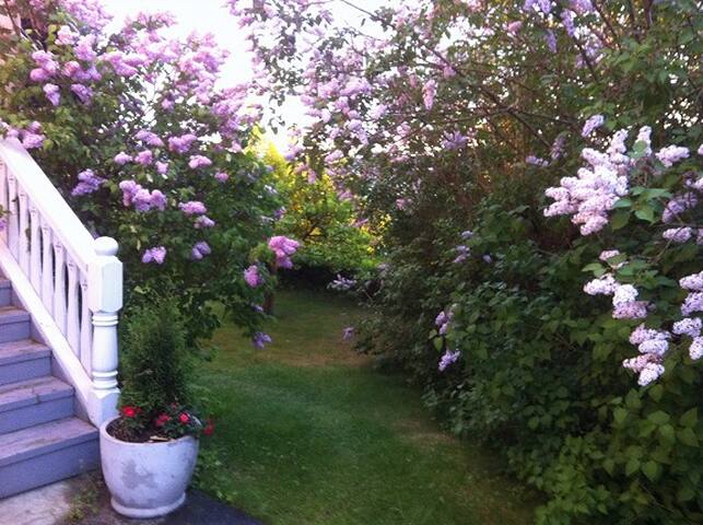 Villa Mathildero- the most beautiful view in Oslo gallery image 4