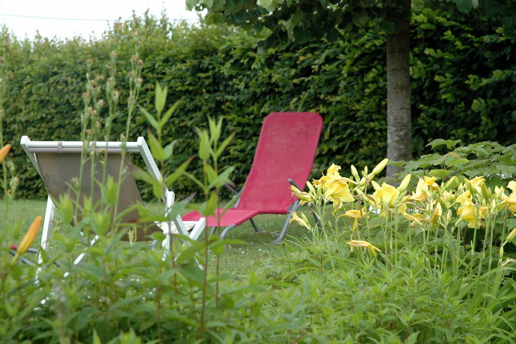 Jardin