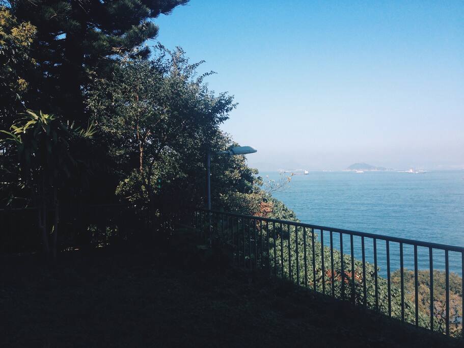 View from the garden.