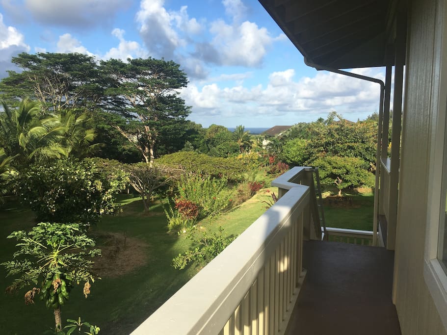 Left side of the house looking out onto the property