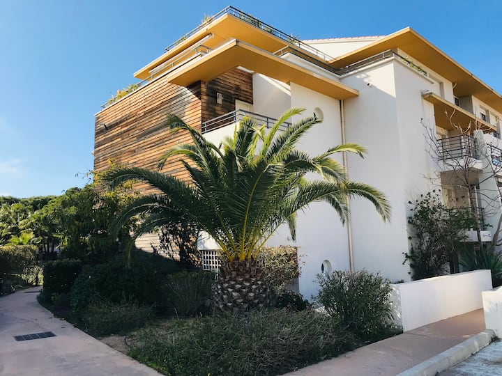 Calvi beautiful T3 3 min walk from the beach Apartments for Rent in