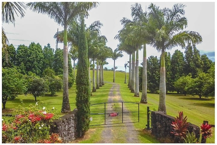 3-Bedroom Home w Ocean Views & Renovated Kitchen