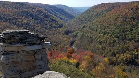 Explorers Escape: Modern home in heart of Davis!