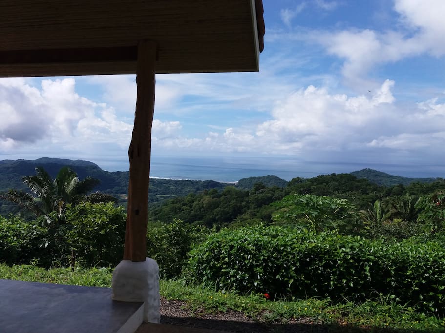 vue from the bungalow