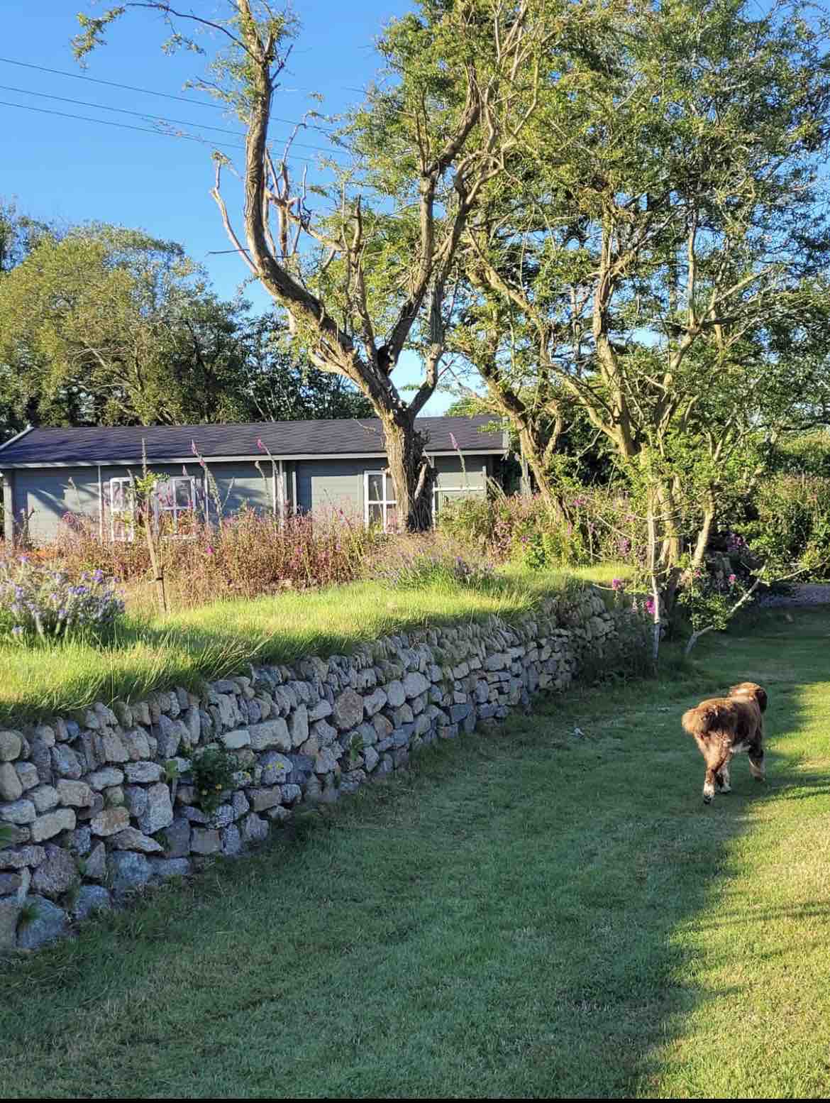 A well-maintained garden area features a stone wall lined with grass, leading up to a heated log cabin. Wildflowers can be seen along the pathway, and a dog is walking in the foreground. Clear blue skies and trees are visible in the background.
