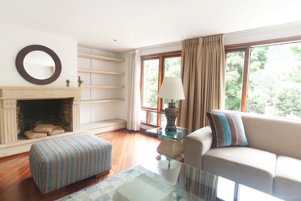 Zoom on the fireplace.