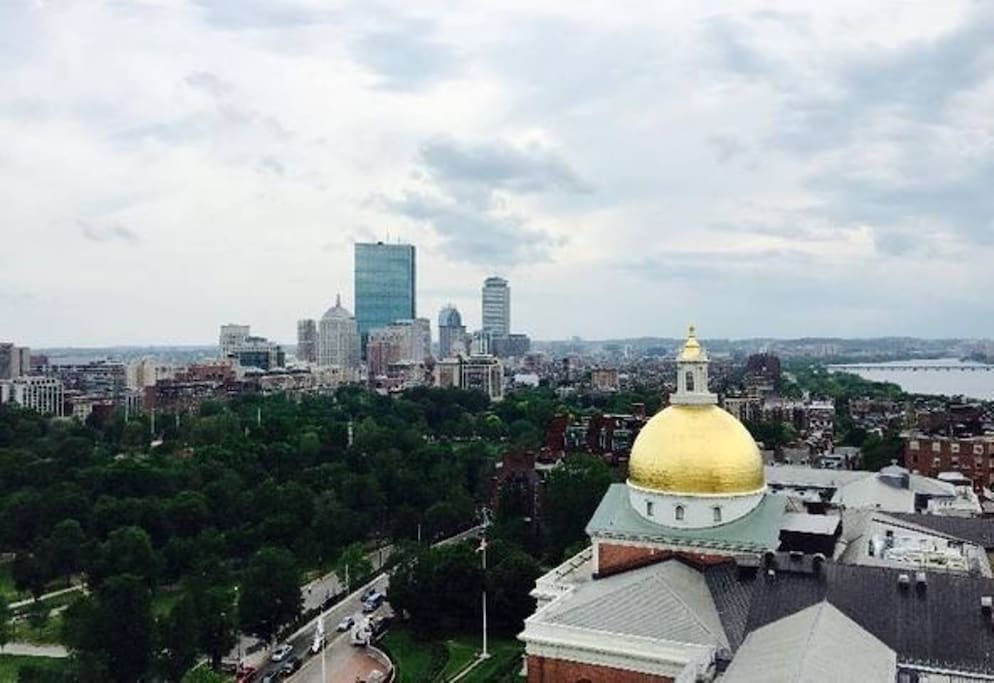 Enjoy the best view of Beacon Hill from the roof deck