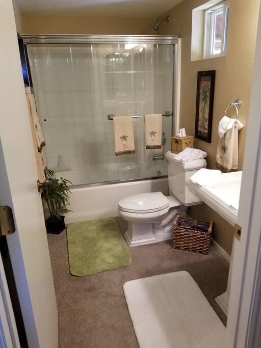 Complete bath, shower and ammenities