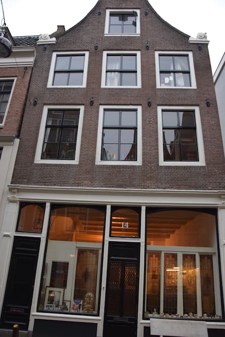 Front view