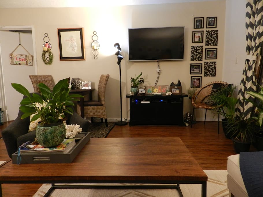 Living room, mounted large flat screen TV