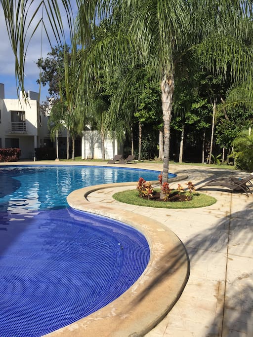Pool in shared garden
