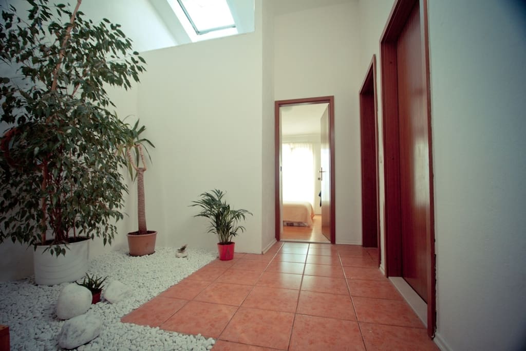 Interior garden in the hallway and roof window makes area always fresh and aired.