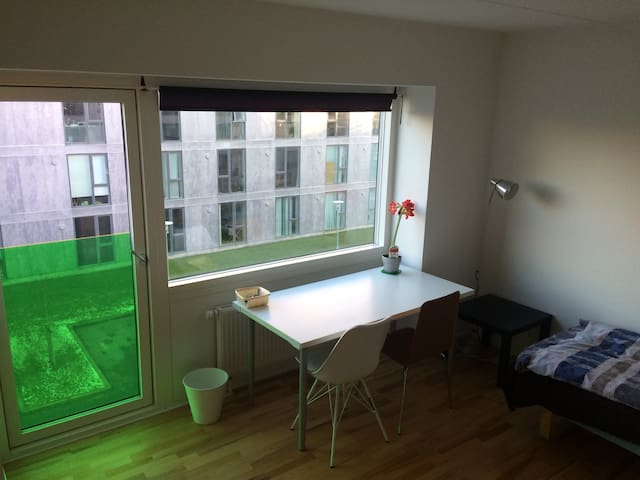 spacious apartment in the city centre