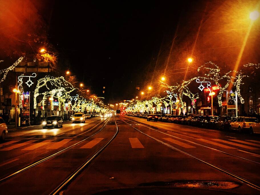1 min walking to Oktogon tram stop 4,6 and metro 1 station
