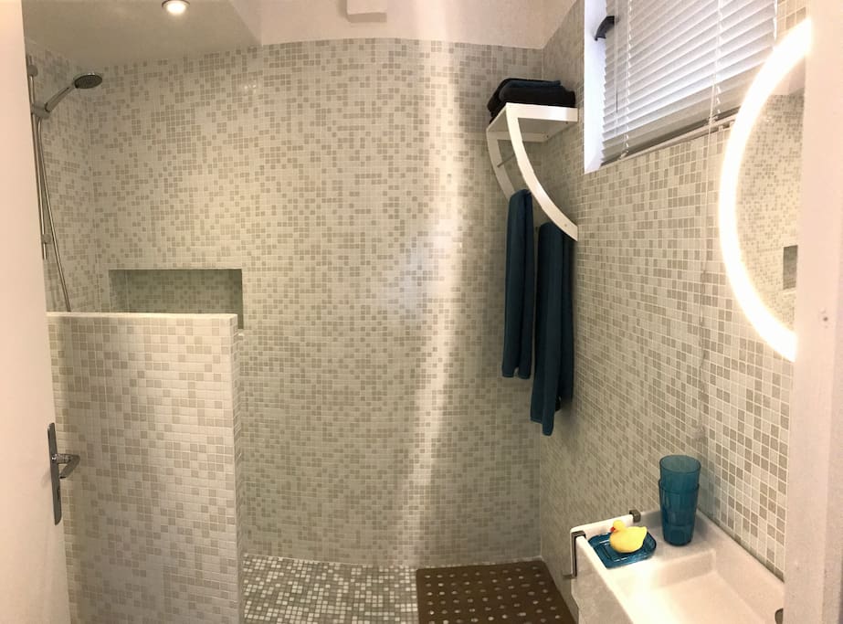 Salle de bain: douche à l'italienne, vasque, WC.