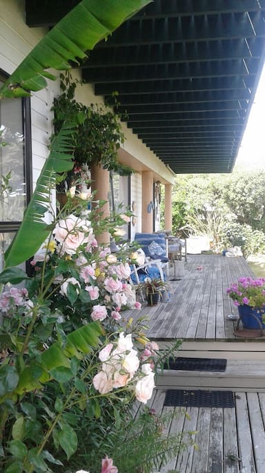 downstairs deck