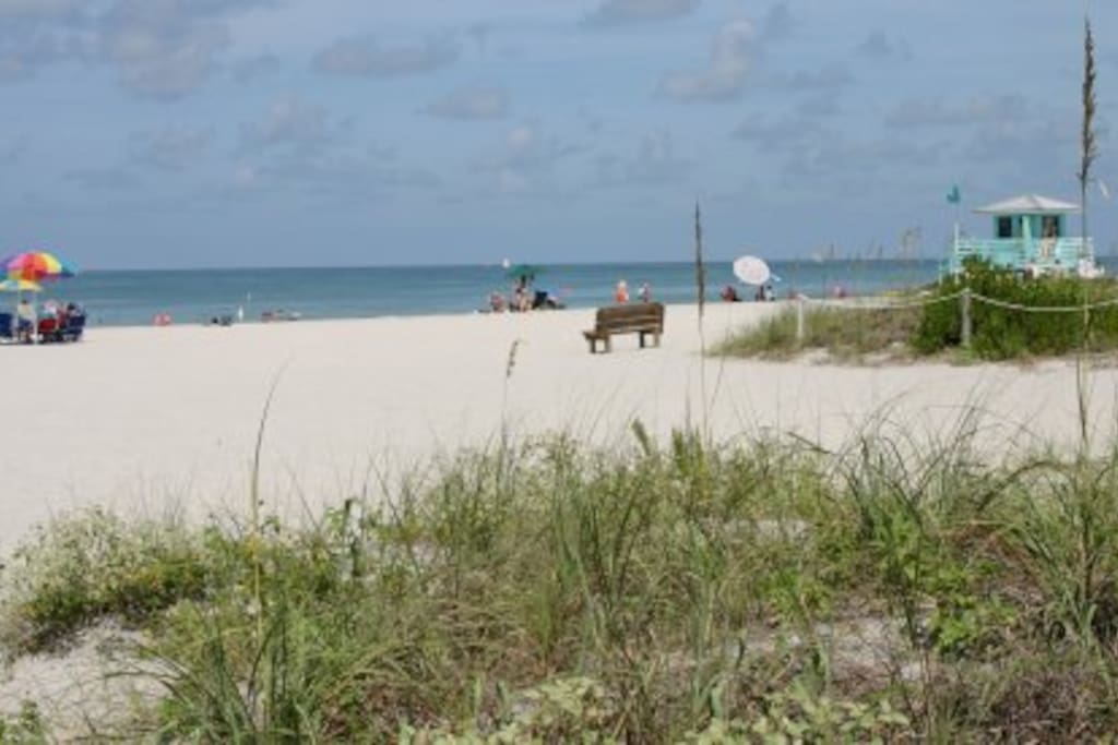 Beautiful white sand Venice Beach