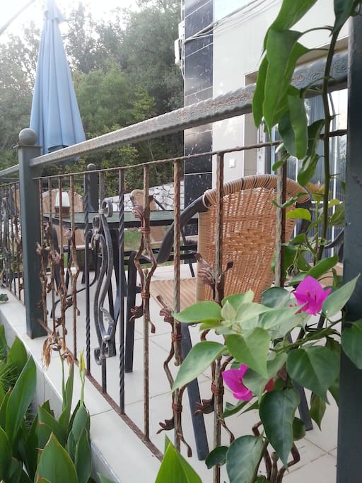Terrace
