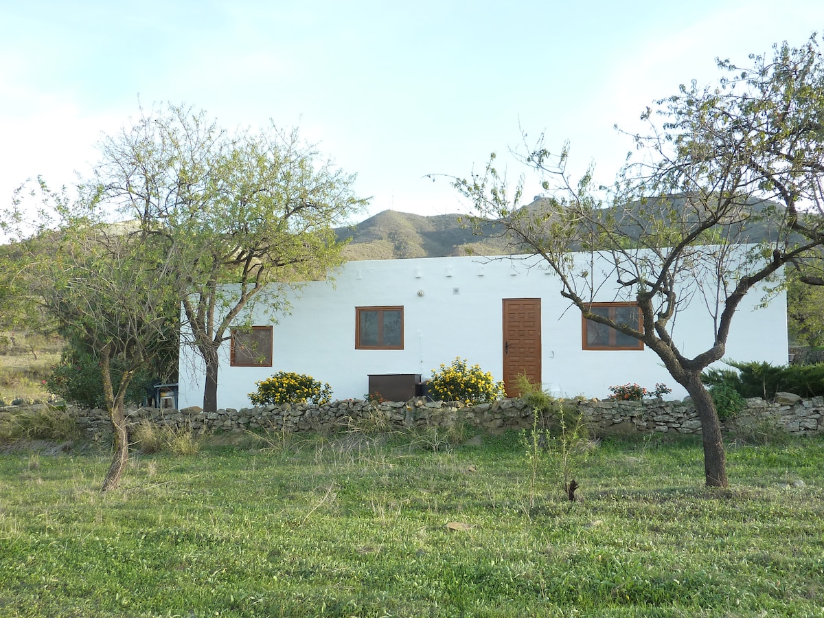 A white casita is set against a backdrop of rolling hills, framed by sparse trees. The structure features multiple windows, allowing for natural light. A stone wall delineates a landscaped area with flowering bushes, creating a serene and inviting outdoor space.
