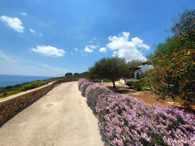 ΑΚΡΩΤΗΡΙ ΚΥΚΛΑΔΙΤΙΚΟ ΣΠΙΤΙ gallery image 3