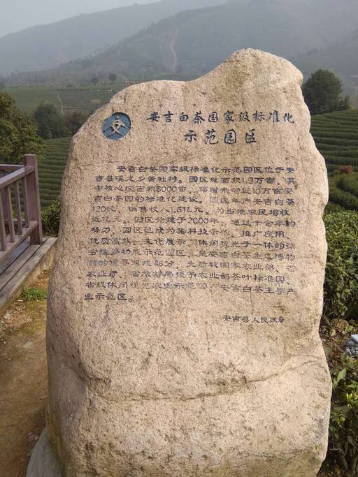 安吉白茶示范园区