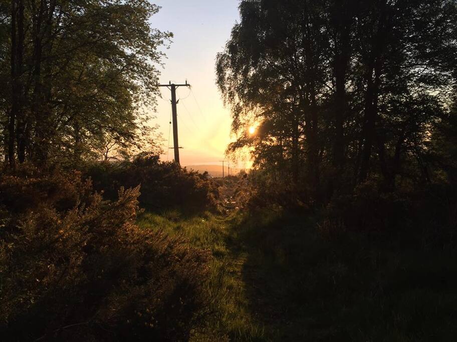 View from the Great Glen Way.